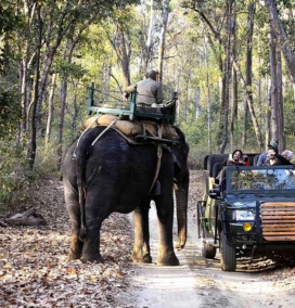 Central India