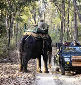 Central India