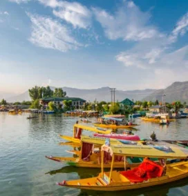 North India Tour
