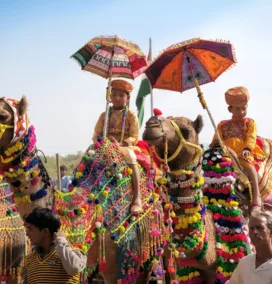 India Tours