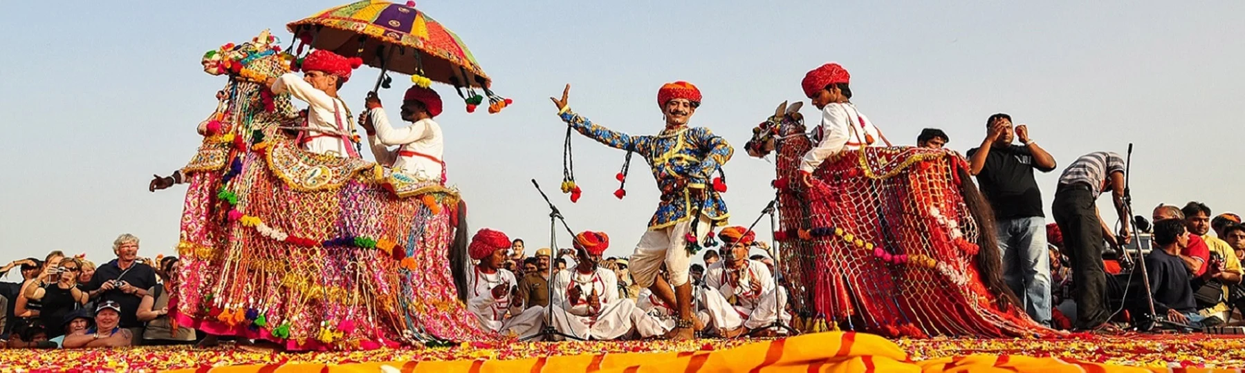 Pushkar Camel Fair Tours