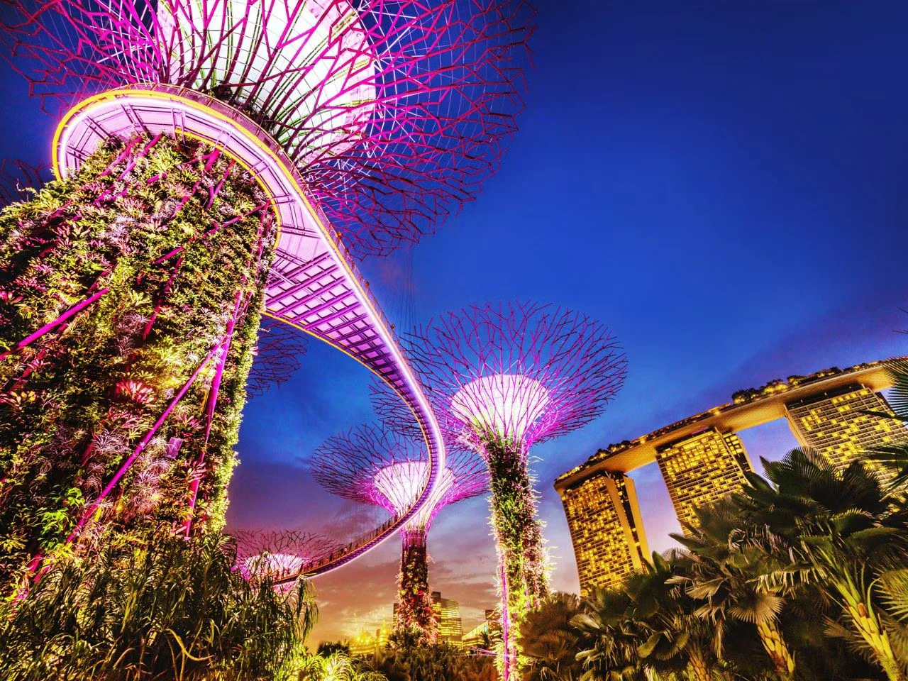 Ultimate Singapore Experience - All Major Attractions