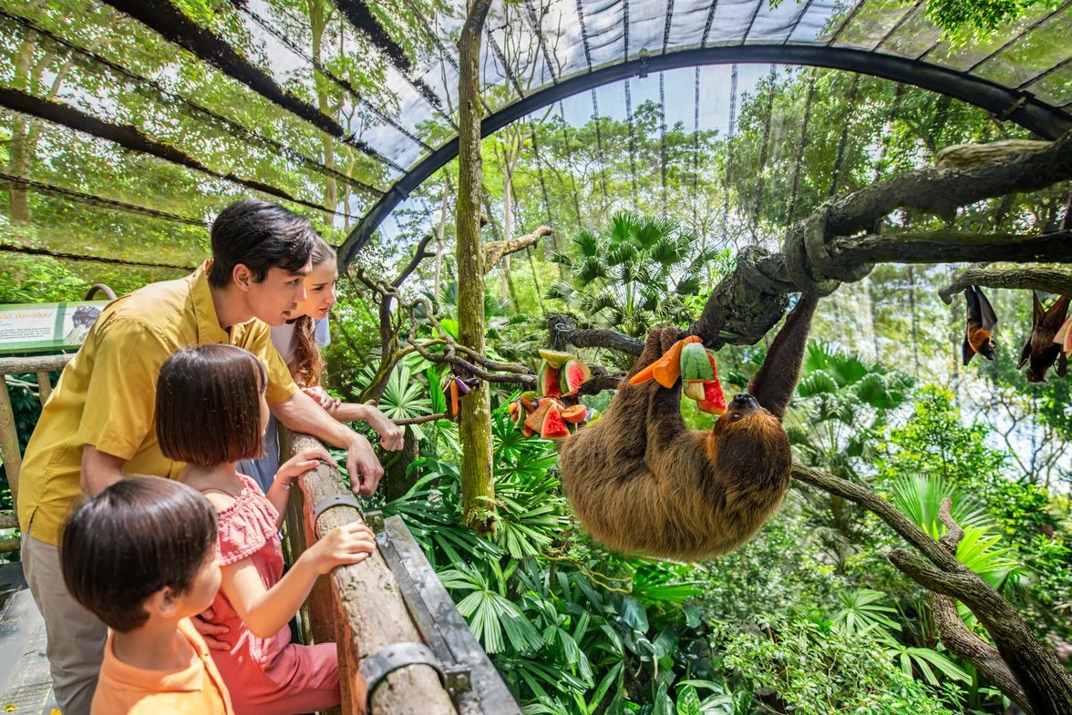 Singapore Family Tour - Zoo & Sentosa