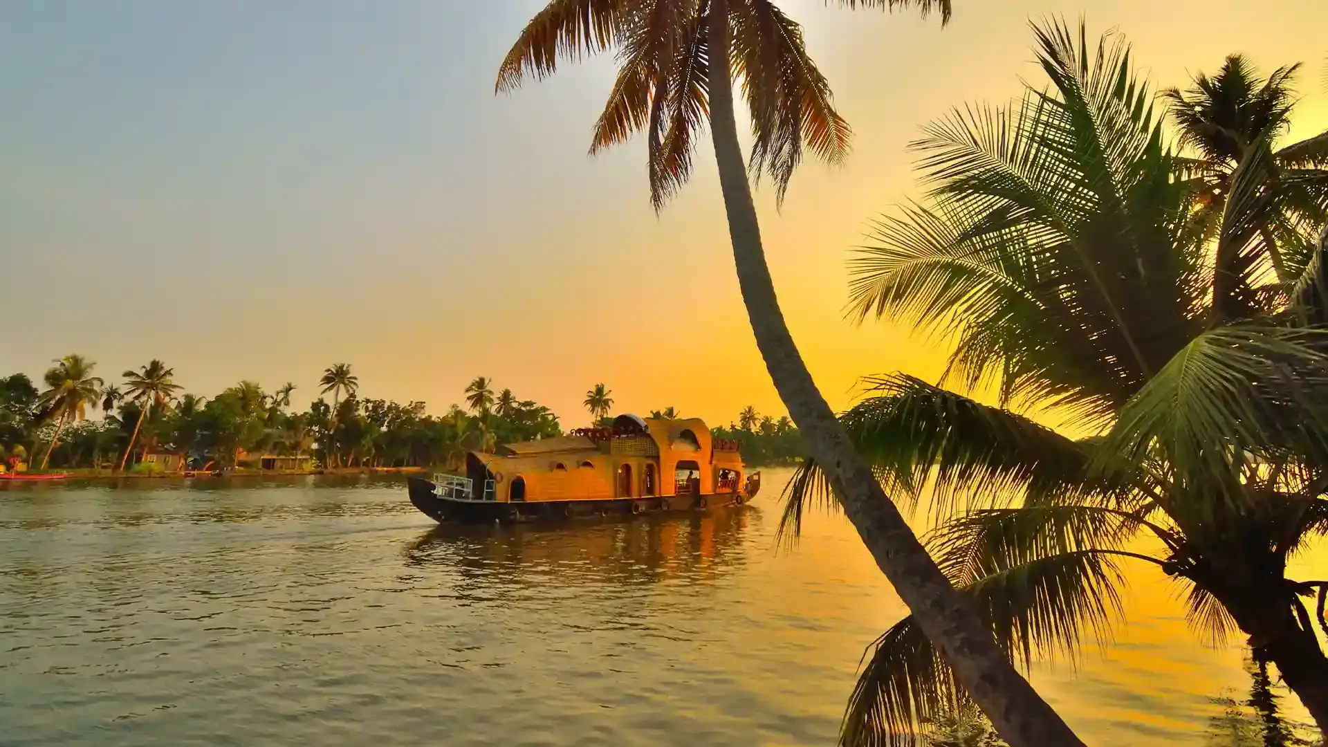 Lush tropical scenery in Kerala