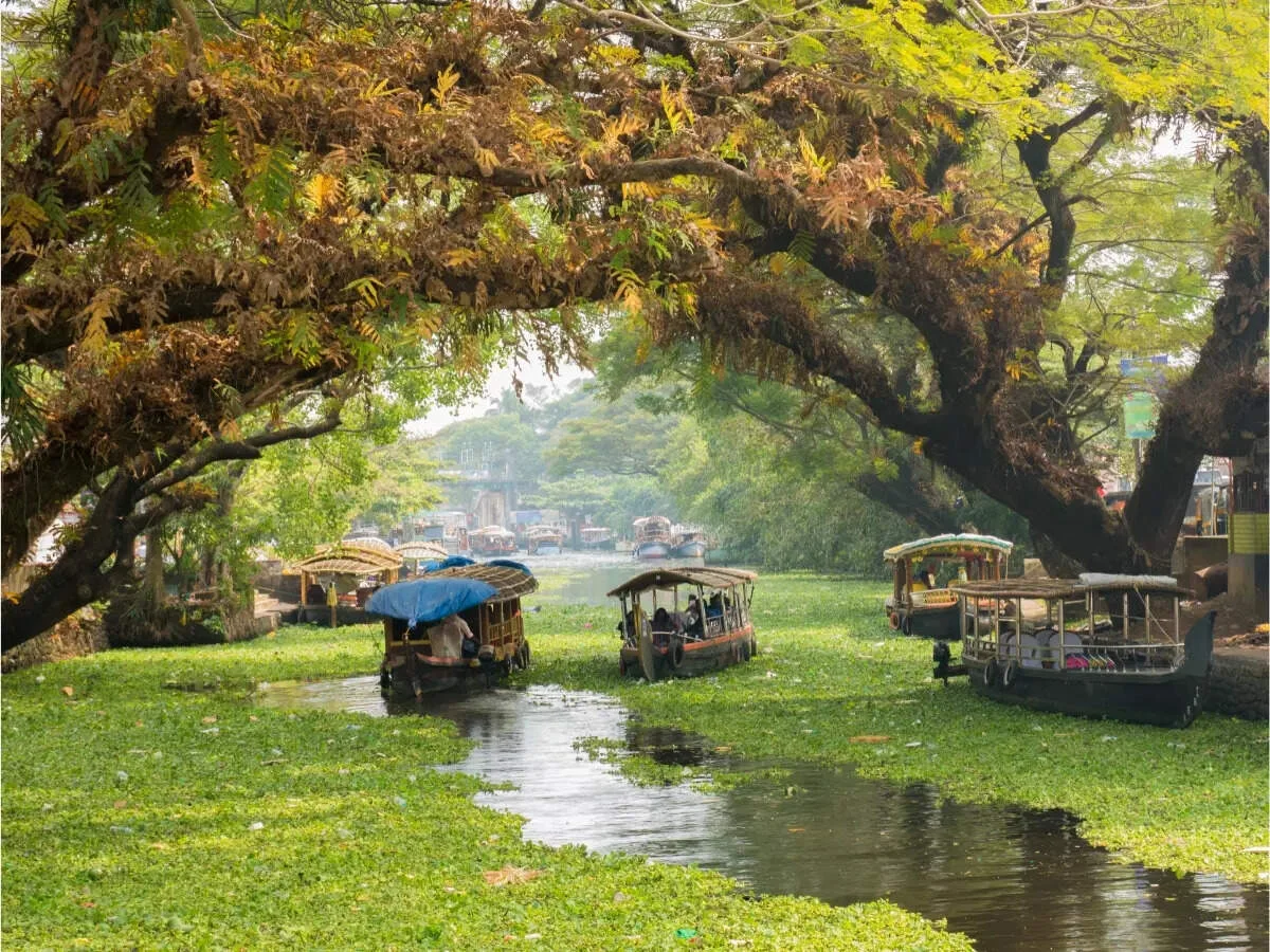 Kerala Backwaters Tour