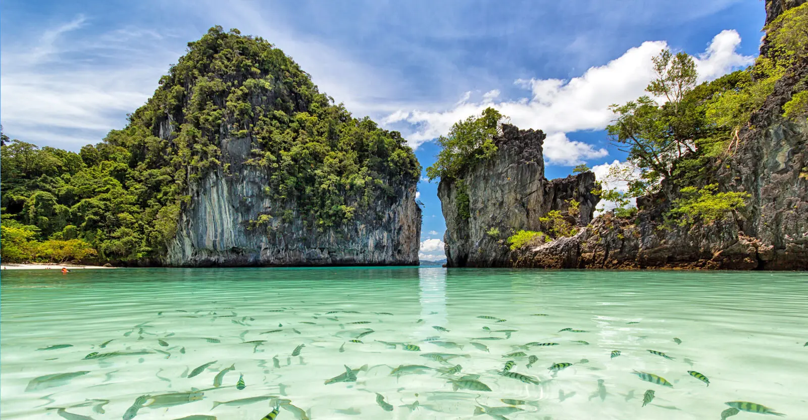 Phuket Krabi Tour Package with Phi Phi Islands
