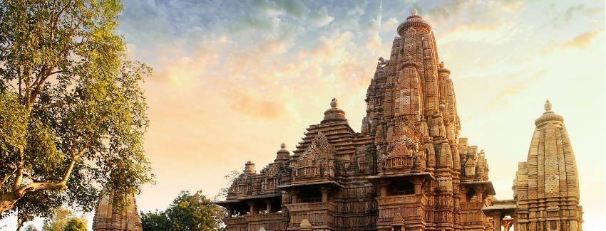 Bandhavgarh Tiger Safari Experience