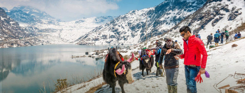 Pelling destination