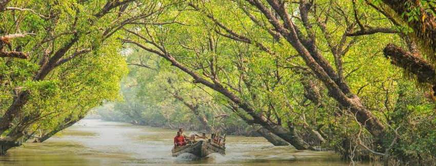 Sundarbans destination