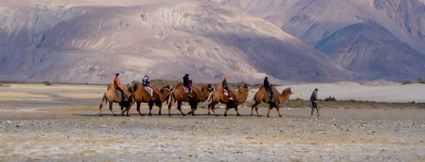 Leh Tour Package