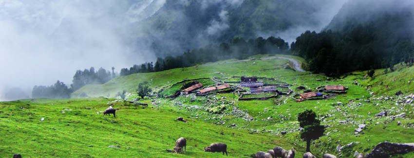 Chopta scenic attraction