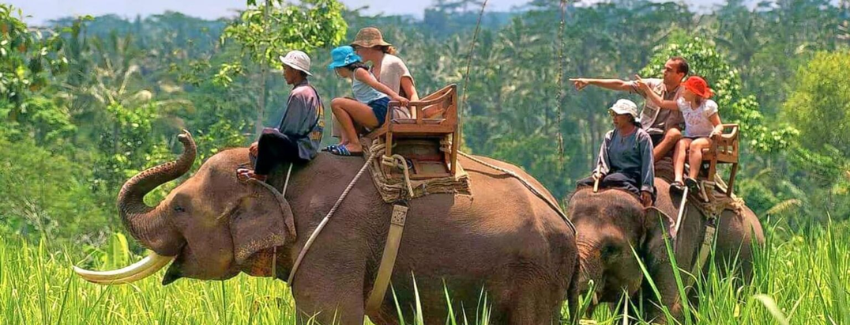 Jim Corbett National Park, India