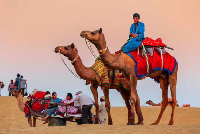 Jewels of Rajasthan Holiday Package by Fragrant Travels