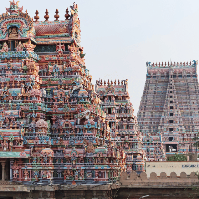 Fragrant Travels (2)